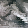 Spectrum Pale Gray Waterglass