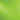 Spectrum Amazon Green Opal 96 COE