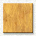 Spectrum Light Opal Beige