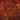Spectrum Dark Amber/White Wispy 96 COE