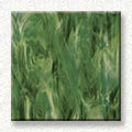 Spectrum Medium Green/White Translucent