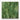 Spectrum Medium Green/White Translucent