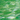 Spectrum Light Green/White Translucent
