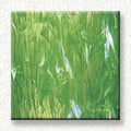 Spectrum Pale Green/White Wispy