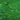 Spectrum Dark Green/White Wispy 96COE