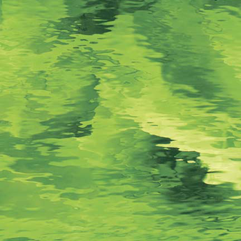 Spectrum Moss Green Waterglass 96COE