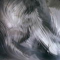 Spectrum Pale Gray Baroque
