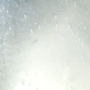 Spectrum Clear Seedy 96COE