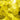 Spectrum Yellow Artique 96 COE