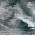 Spectrum Pale Gray Waterglass 96COE