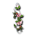 Hummingbird Scroll Kit