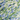 Spectrum Seattle Spirit-Green/Blue/Opal 96 COE