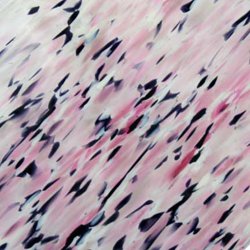 Spectrum Valhalla Spirit-Ivory/Pink/Grape 96 COE
