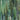Spectrum Rainforest Pearl Opal 96COE