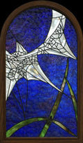 Spider Hammock Bevel Cluster