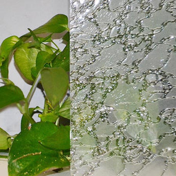 Clear Delta Frost 4mm
