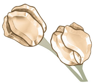 Tulips Bevel Clusters - Peach (2 cluster set) 4"x4"
