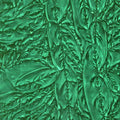 Van Gogh Emerald Green