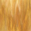 Wissmach Amber/White Honey