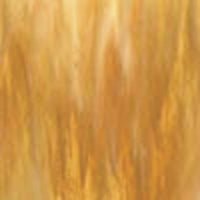 Wissmach Amber/White Honey Granite