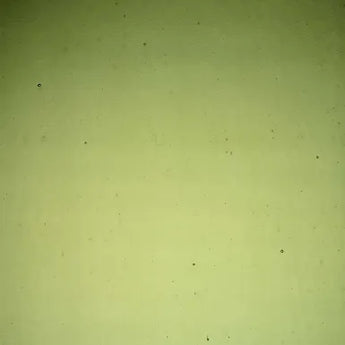 Wissmach Medium Olive Double Rolled