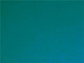 Wissmach Teal Blue Transparent Double-Rolled Transparent