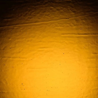Wissmach Medium Amber Double Rolled