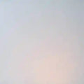 Wissmach Translucent White