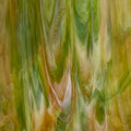 Wissmach Amber/Green/Opal