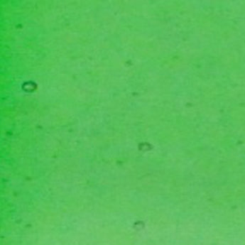Wissmach Transparent Garden Green 96COE