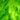 Youghiogheny Lime Green Ice, Emerald Green Opal Stipple
