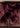 Youghiogheny Neodymium/Dark Purple/Blue/Gold Pink