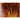 Bullseye Petrified Wood 90COE