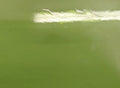 German New Antique Pale Green