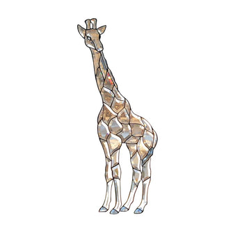 Large Giraffe, brown, clear, grey