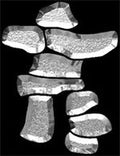 Inukshuk Bevel Cluster