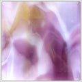 Kokomo Light Amber Lavender Purple Streak