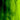 Kokomo Green Streaky