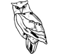 Owlet Bevel Cluster
