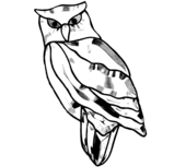 Owlet Bevel Cluster