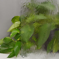 Clear Taffeta 4mm..