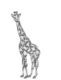 GST Bevel Cluster Small Giraffe, brown, clear, grey
