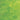Spectrum Lime Green/White Translucent 96 COE