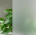 Clear Ground Plate