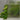 Clear 1/8" Narrow Reeded Glass