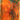 Uroboros Blue/Yellow/Red/Orange/Pink
