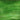 Wissmach Dark Green/White Translucent