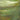Wissmach Dark Green, Dark Amber Light Opal