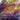 Wissmach Yellow-Green, Purple, White Opal