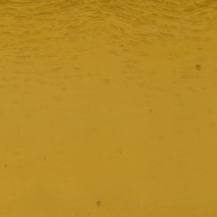 Wissmach Medium Amber Double Rolled
